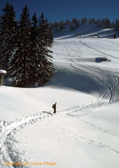 Skitour 005 Hirschberg 05.02.2005   Bild 10
