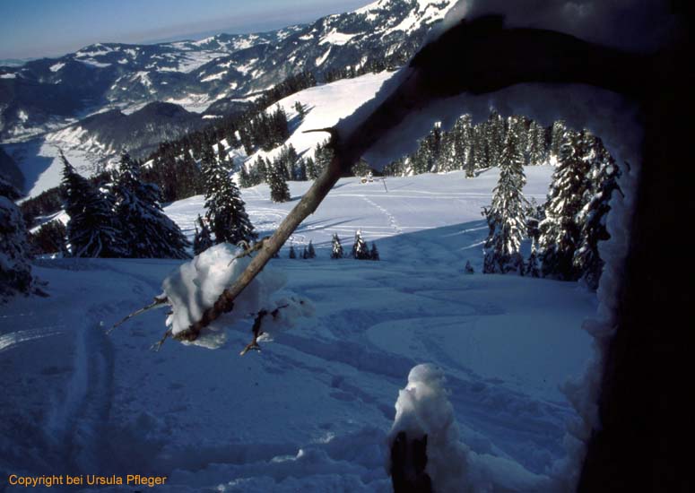 Skitour 005 Hirschberg 05.02.2005   Bild 16