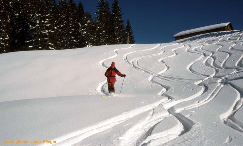 Skitour 005 Hirschberg 05.02.2005   Bild 19