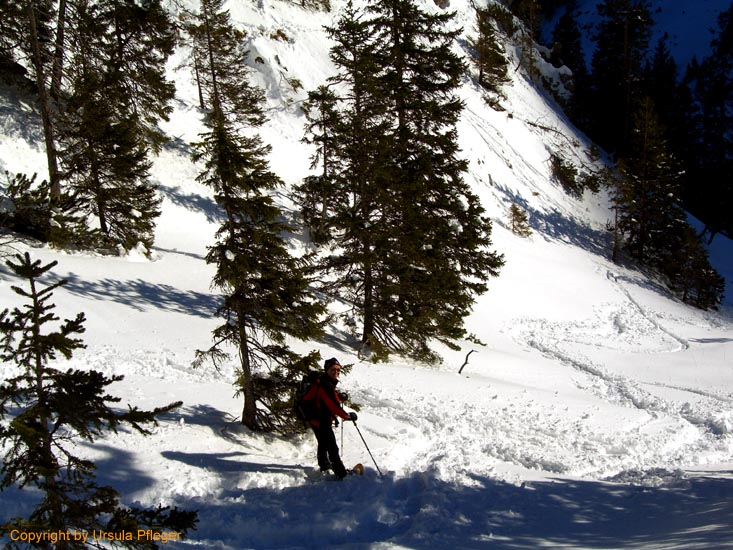 Rossstallhuette Skitour - Bild     044